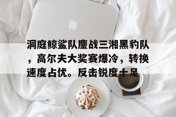 爱游戏-洞庭鲸鲨队鏖战三湘黑豹队，高尔夫大奖赛爆冷，转换速度占优。反击锐度十足(齐迎夺得巴黎奥运会射击男子多向飞碟银牌)